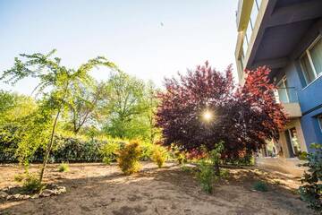 Фото номера Двухместный номер с 1 кроватью, вид на сад Гостевой дом Villa Sky г. Мамая 13