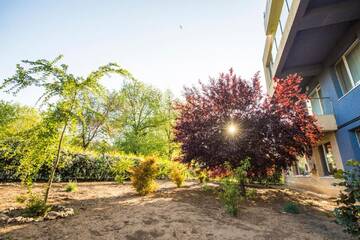 Фото номера Двухместный номер с 1 кроватью, вид на сад Гостевой дом Villa Sky г. Мамая 5